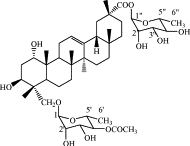 Image result for Combretum coriifolium