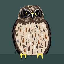 April Bird Of The Month Image Result For Ruru Bird Bird Calls Bird Owl