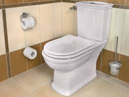 Camargue St Louis Wc Sitz Weiss Material Wc Sitz Mdf Wc Sitz Bauhaus Haus