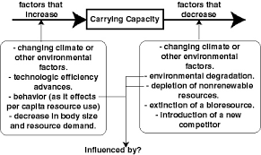 population dynamics and carrying capacity