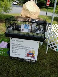Great for the kids and a wonderful way to learn about animals. 7 Petting Zoo Animals Ideas Zoo Animals Zoo Animals