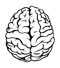 Human Brain Brain Drawing Cartoon Brain Brain Tattoo