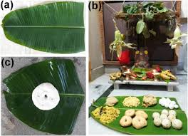 In addition to the banana leaf packaging, rimping offers a slew of other sustainable packaging options. Leaves As Dining Plates Food Wraps And Food Packing Material Importance Of Renewable Resources In Indian Culture Bulletin Of The National Research Centre Full Text