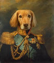Check spelling or type a new query. For Hire I Ll Photoshop Your Pet Into A Renaissance Portrait Starting At 20 Message Me For More Details Hungryartists