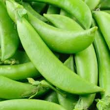 We always grow sugar snap peas often i don't have the extra time to blanch and dry the peas, so this is a easy no fuss way to freeze sugar snap peas without step 2: Freezing Snow Peas Sugar Chinese Or Sugar Snap Peas Thriftyfun
