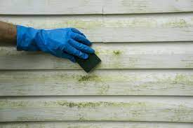Think about having your home's vinyl siding pressure washed once or twice a year by a professional cleaning contractor. Protect Your Siding By Removing And Preventing Algae And Mildew