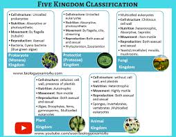 Characteristics of living things www.studyguide.pk biology is the study of living organisms. Igcse Biology Notes On Five Kingdom Characteristics