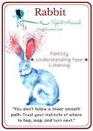 Rabbit symbolism & rabbit meaning: Rabbit Symbolism And Meaning Spirit Animal Totem Animal Totem Spirit Guides Animal Meanings