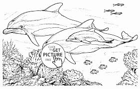 Explore 623989 free printable coloring pages for your kids and adults. Realistic Dolphins Coloring Page For Kids Animal Pages Free Printable Dolphin Miami Color Codes To Picture Colouring Colour In Oguchionyewu