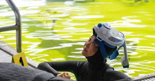 Meanwhile, martin is desperate to get in touch with his son ahead of his imminent plans, as dr. Prodigal Son Season 2 Episode 3 Photos Alma Mater Seat42f