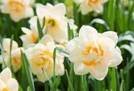 Maybe you would like to learn more about one of these? 12 Top Rated Attractions Things To Do In Little Rock Ar Planetware