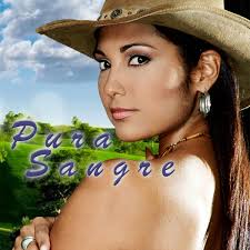 Ver Pura Sangre por ViX