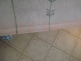 They tend to grow vigorously in wet, damp, and dark conditions such as showers, bathtubs, tile grouts, wash basins, etc. Orange Mold 255682 Ask Extension