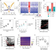 This technique is widely used in stem cell research and understanding disease progression. Simultaneous Measurement Of Chromatin Accessibility Dna Methylation And Nucleosome Phasing In Single Cells Elife