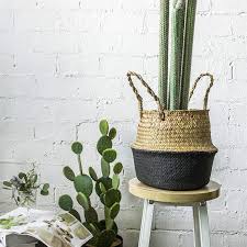 Check spelling or type a new query. Buy Ncyp 48 Large Natural Looking Artificial Faux Fake Pink Tip Saguaro Cactus Desert Plant With Natural Seagrass Woven Basket Pot For Home Garden Office Floor Indoor Decor Online In Nigeria B07wvx22tr