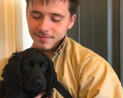 The Beckhams welcome new puppy Fig to the family