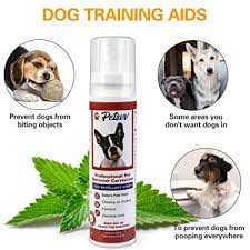 Find the perfect dog chewing sofa stock photos and editorial news pictures from getty images. Buy Pets Vv Anti Chew Spray For Dogs No Chew Spray For Dogs And Puppies To Stop Chewing Furniture Plant Based Dog Deterrent Spray Online In Indonesia B08w2jnx6w