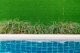 The bleach either needs to be sprayed onto them or the they must ingest the liquid. Will Pool Water Kill Your Lawn