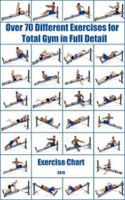 amazon com over 70 different exercises for total gym in