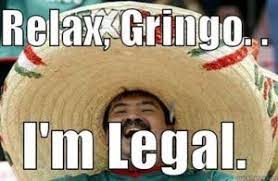 Gringo Dictionary Com