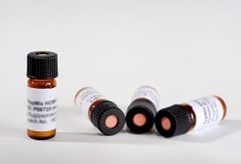 Image result for Peponium sp. A