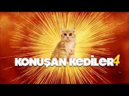 Konusan Kediler 4 En Komik Kedi Videolari Youtube