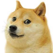 As of november 15, 2020, it has been purchased 925,476 times and favorited over 197,000 times. Doge Picture Id Roblox Google Search Doge Meme Animal Memes Dog Memes