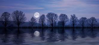 Which is the best quote about water reflection? Full Moon Reflection Water Free Image On Pixabay