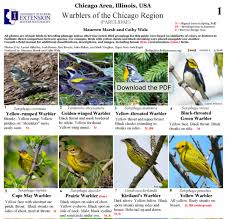 Birds of illinois field guide. Chicago Birding Resources Chicago Audubon Society