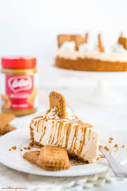 Most cake recipes out there are for 8 inch cake pans with double and sometimes even triple layers. Easy No Bake Biscoff Cheesecake The Busy Baker