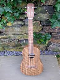 Check spelling or type a new query. Gallery Eustace Ukuleles