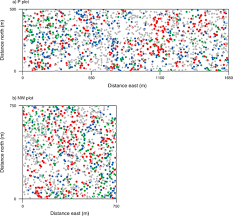 Image result for Strephonema sericeum