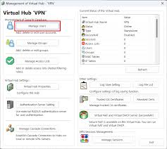 Image result for softether vpn server GUI
