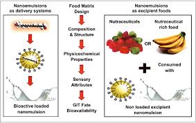 Nanotechnologies In Food Science Applications Recent Trends And Future Perspectives Springerlink