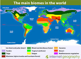 For more rainforest maps, click on the link tropical rainforests have pretty much the same weather every day. What Is A Biome Internet Geography