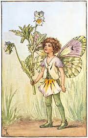 The Fairies Of The Spring Archives Flower Fairies Cicely Mary Barker Flower Fairies Vintage Fairies Cicely Mary Barker