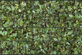 Sichtschutzstreifen Gartenzaun Kirschlorbeer Sichtschutzzaun Zaun