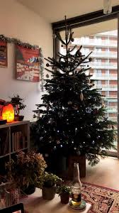 Check spelling or type a new query. 7ft 8ft Real Christmas Tree Christmas Trees Manchester