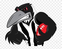 Check spelling or type a new query. Australian Drawing Magpie Collingwood Magpies Free Transparent Png Clipart Images Download