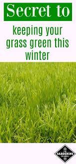 Are You Tired Of Having Brown Grass All Winter Try This Strategy To Keep Your Lawn In The Green St Joseph Mo L Winter Lawn Overseeding Lawn Reseeding Lawn