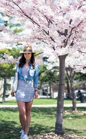 The park was full of people taking pictures of the beautiful cherry blossom trees, having picnics and playing games. Cherry Blossoms In The Springtime Yesmissy
