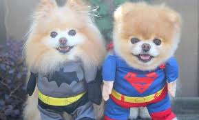 أربع قوى خارقة لحيوانات بأشكال غريبة دخلك بتعرف