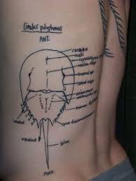 The cost of drawing a tattoo usually varies largely depending on the complexity of the design in question and the type of tattoo artist doing the job. 55 Amazing Math Tattoos And Science Tattoos Maths Tats Designbump
