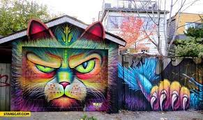 Garage Graffiti Cat Starecat Com