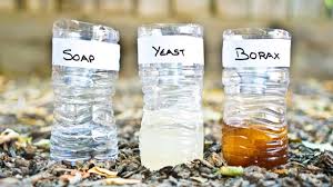 Mosquitoes are pests that no one likes to have around. 3 Diy Mosquito Trap Comparison Yeast Vs Soap Vs Borax Youtube