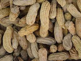 Do Peanuts Go Bad: How To Extend Its Shelf Life?