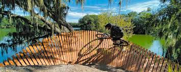 Image result for Alafia