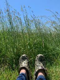 All you need is cold water, mild dish soap, and a slightly damp sponge. Crocs Crocs Unisex Classic Realtree Clogs Walmart Com Walmart Com