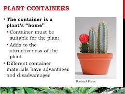 Advantages and disadvantages of town. Plant Containers The Container Is A Plant S Home Container Must Be Suitable For The Plant Adds To The Attractiveness Of The Plant Different Container Ppt Download