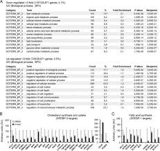 Claus kleber ist noch bis ende des jahres für das 'heute journal' im einsatz. The Epigenetic Drug 5 Azacytidine Interferes With Cholesterol And Lipid Metabolism Sciencedirect
